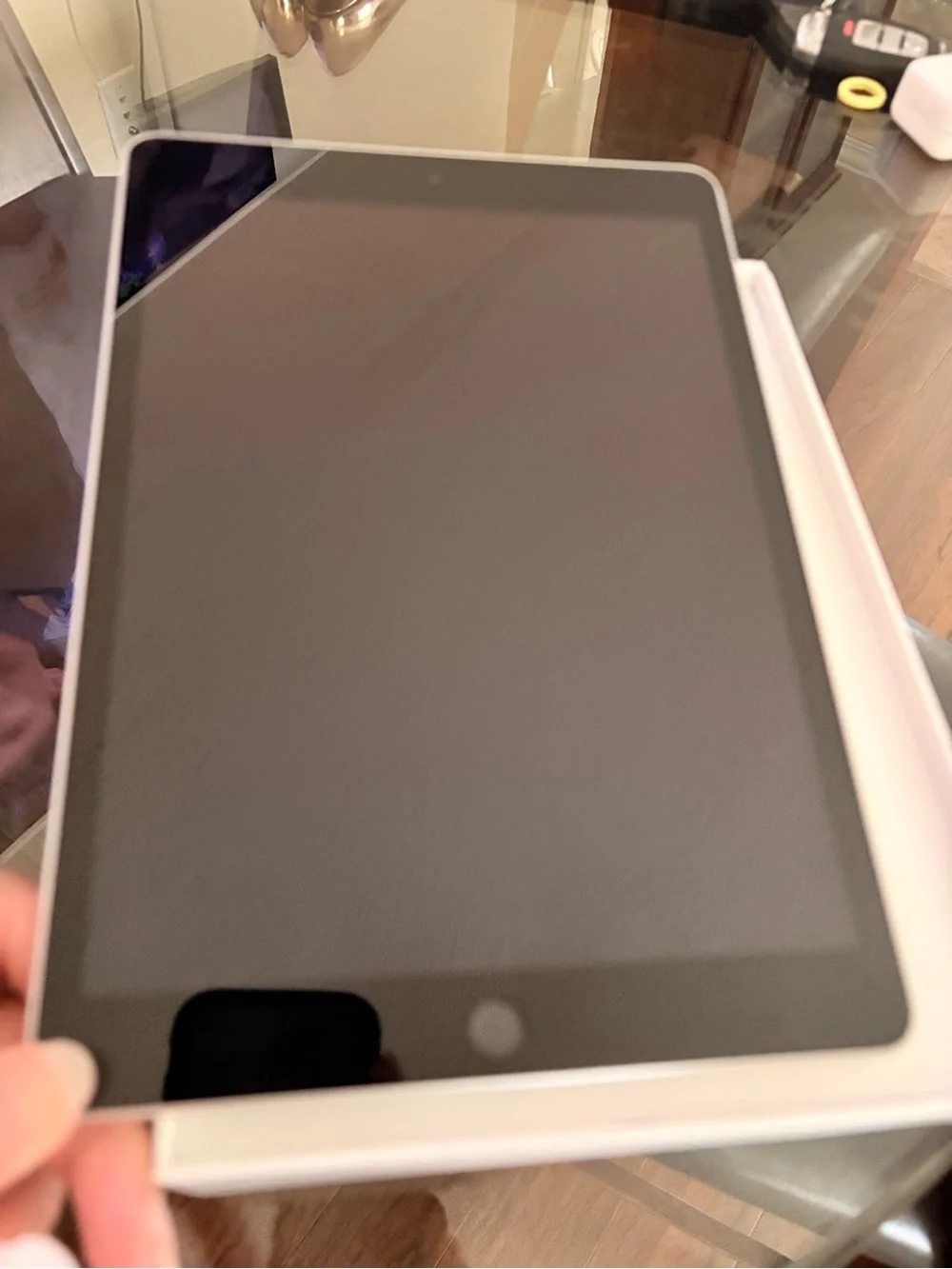 Apple iPad - Silver/White Back